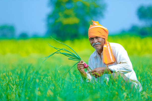 FinAgri Agriculture Support